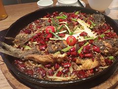 -老板恋上鱼(恒隆广场店)