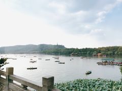-湖畔居茶楼(湖滨店)
