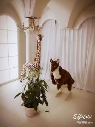 -星光贝贝(万达店)