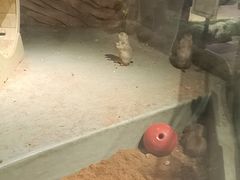 -正佳雨林生态植物园