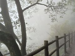 -牛背梁国家森林公园