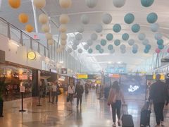 -约翰·菲茨杰拉德·肯尼迪国际机场