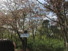 -自然谷恐龙园
