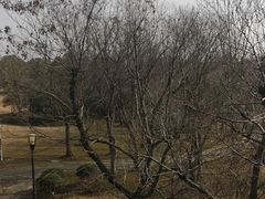 -宝界山林公园