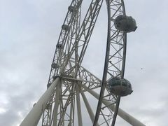 -墨尔本之星 观景摩天轮