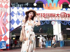 -灵玲国际马戏城