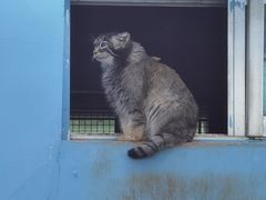 -青藏高原野生动物园