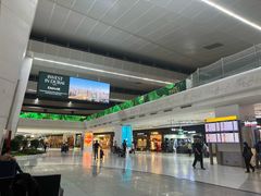 -英迪拉·甘地国际机场