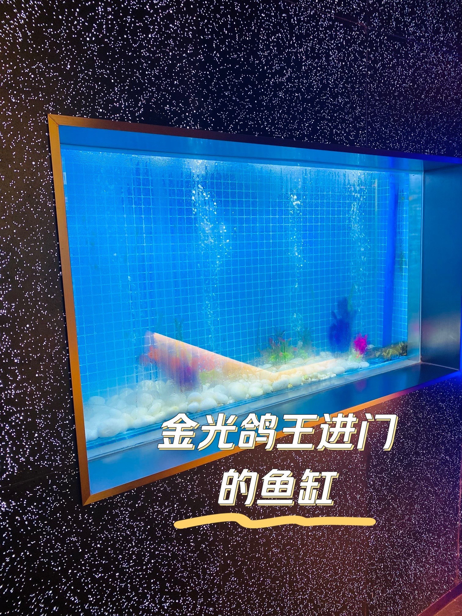 https://qcloud.dpfile.com/pc/H6OnJjwA_qgYSdzreqCJPgN5j29SZ42Ir1mCKZ0bzXHXFMfQchsQZ51iKWLGc-5PY0q73sB2DyQcgmKUxZFQtw.jpg