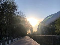 -石河子大学东区-体育馆