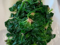 清炒崇明矮脚菠菜-道道鲜·崇明私房菜(五角场店)