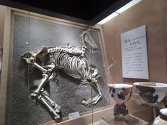 -烟台市博物馆