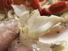 -威珀斯酒店·珀萃美食餐厅