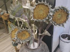 -春风·有糖(崇宁路店)