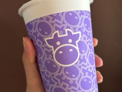 -一只酸奶牛(成都sm广场店)