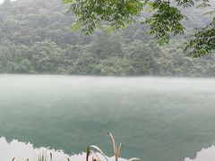 -九龙江国家森林公园