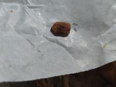 -好利来(西宸广场店)