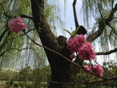 -上海大学(宝山校区)