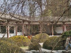 -西安青龙寺遗址景区