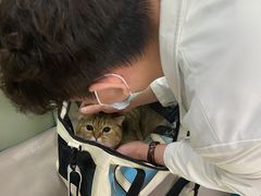 -艾贝尔宠物诊疗