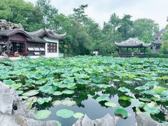 -无锡蠡湖国家湿地公园-蠡园