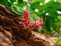 -亿利库布其七星湖沙漠生态旅游区