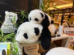 -轩客会(熊猫书店)