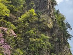 -尧山风景区