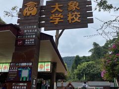 -野象谷景区