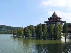 -顺峰山公园