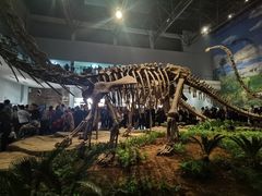 -自贡恐龙博物馆