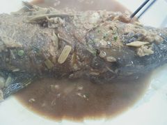 -深圳湾木棉花酒店