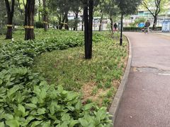 -方庄体育公园