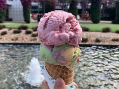 -布里斯班南岸公园