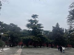 -北京市劳动人民文化宫(太庙)