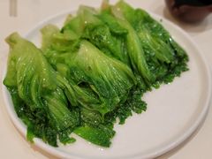 白灼生菜-蔡澜点心·粤菜(月星环球港店)