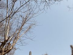 -圌山