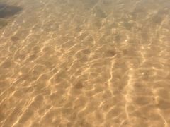 -海驴岛(荣成市)