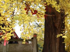 -金堂县云顶石城风景区