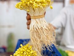 沙豆芽-洪都大拇指(洪都店)