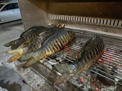 -杨合林啊兰烤鱼