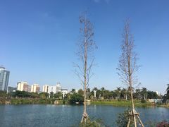 -白鹭洲公园