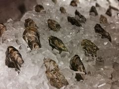 -Oyster Talks 四度蚝法餐厅