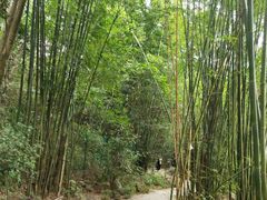 -水底山庄园温泉