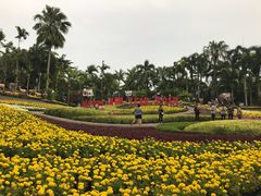 -东芭乐园