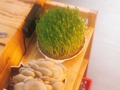 -好彩猪肚鸡(正弘城店)