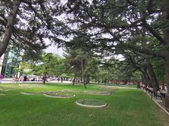 -中山公园音乐堂