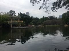 -晓港公园