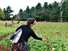 -羊亭河湿地公园