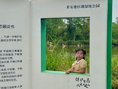 -池杉湖湿地公园